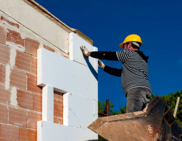 Best Specialized Insulation Services in Nes, IL