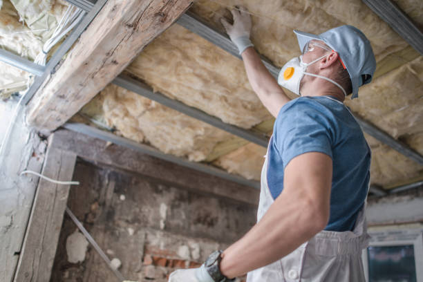 Best Insulation for Specific Applications in Nes, IL