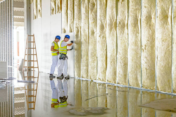 Best Insulation for Specific Applications in Nes, IL